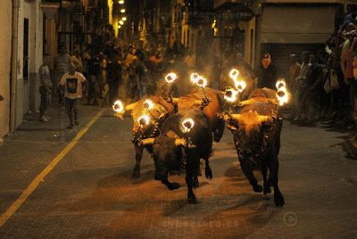 touros de fogo provincia de valencia